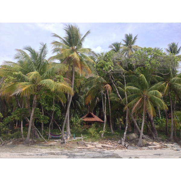 รูปถ่าย คอสตาริกา(Costa Rica) มอนเตซูมา(Montezuma) 2015-03 89
