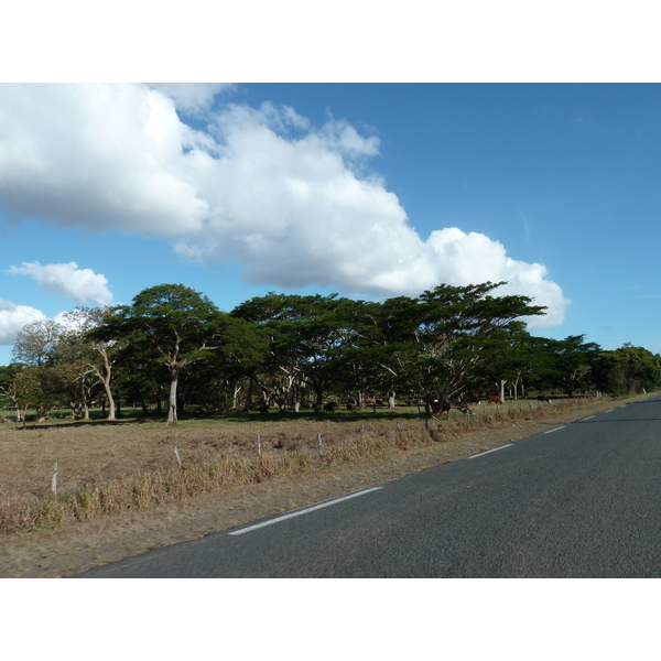 รูปถ่าย นิวแคลิโดเนีย(New Caledonia) ถนนจากกานาลาไปลาฟัว(Canala to La Foa road) 2010-05 39
