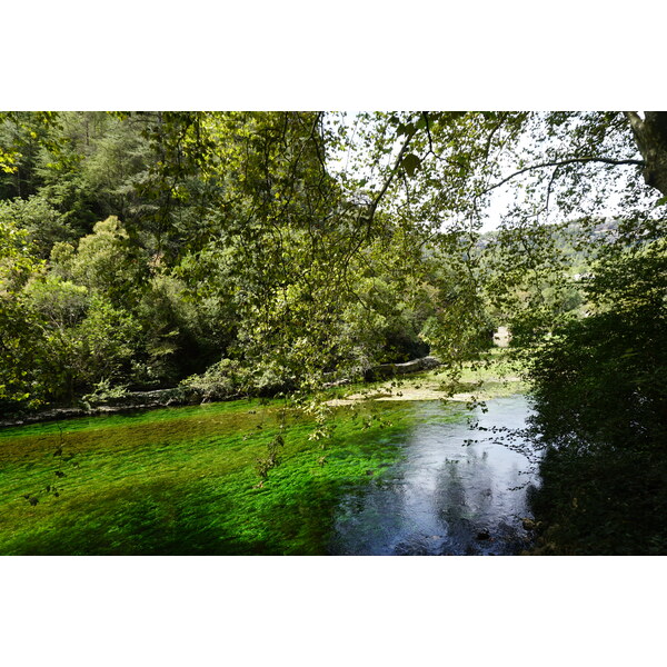 รูปถ่าย ฝรั่งเศส(France) ฟงแตน-เดอ-โวกลูซ(Fontaine-de-Vaucluse) 2017-08 1