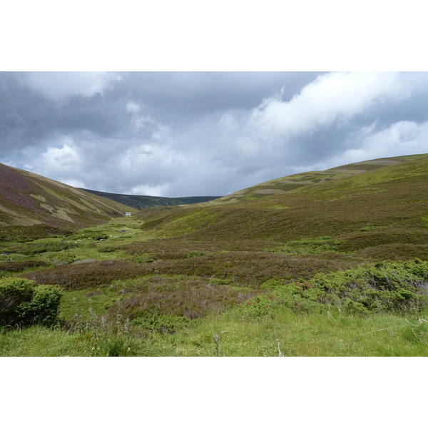 รูปถ่าย อังกฤษ(United Kingdom) อุทยานแห่งชาติแคร์นกอร์มส์(Cairngorms National Park) 2011-07 13