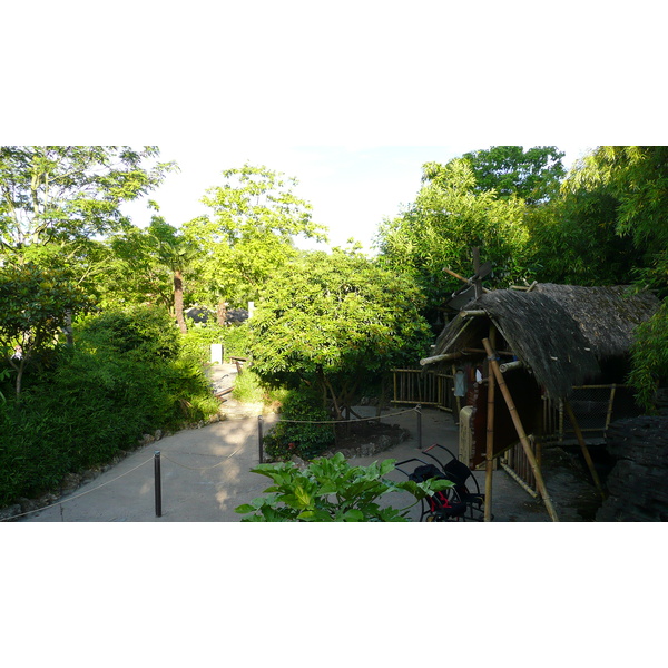 รูปถ่าย ฝรั่งเศส(France) ดิสนีย์แลนด์ปารีส(Disneyland Paris) บ้านต้นไม้โรบินสัน(La Cabane des Robinson) 2007-07 6