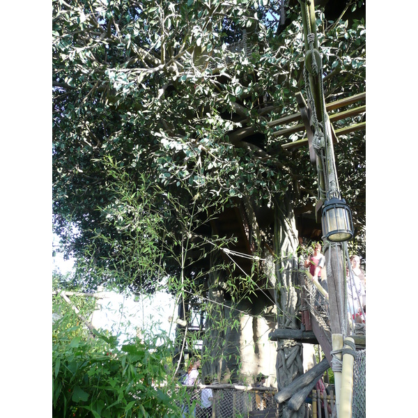 รูปถ่าย ฝรั่งเศส(France) ดิสนีย์แลนด์ปารีส(Disneyland Paris) บ้านต้นไม้โรบินสัน(La Cabane des Robinson) 2007-07 13