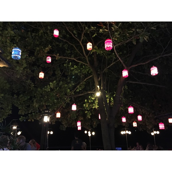 รูปถ่าย ไทย(Thailand) เกาะเสม็ด(Ko Samet) 2014-12 300