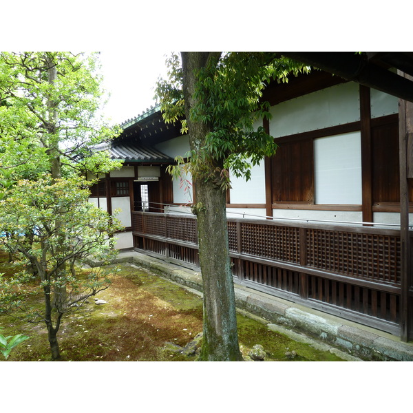 รูปถ่าย ญี่ปุ่น(Japan) เกียวโต(Kyoto) ปราสาทนิโจ(Nijo Castle) 2010-06 102