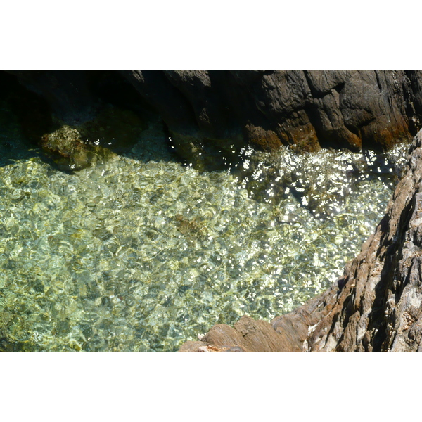 รูปถ่าย ฝรั่งเศส(France) เกาะปอร์เกอรอล(Porquerolles Island) แหลมเลอแก็ง(Pointe du Lequin) 2008-05 7