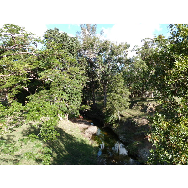 รูปถ่าย นิวแคลิโดเนีย(New Caledonia) ถนนจากกานาลาไปลาฟัว(Canala to La Foa road) 2010-05 2