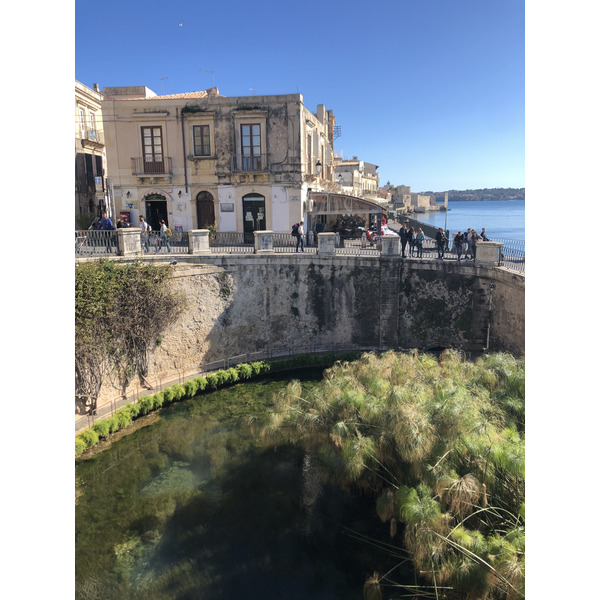 รูปถ่าย อิตาลี(Italy) ซิซิลี(Sicily) ออร์ตีเจีย(Ortigia) 2020-02 11