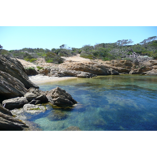รูปถ่าย ฝรั่งเศส(France) เกาะปอร์เกอรอล(Porquerolles Island) แหลมเลอแก็ง(Pointe du Lequin) 2008-05 6