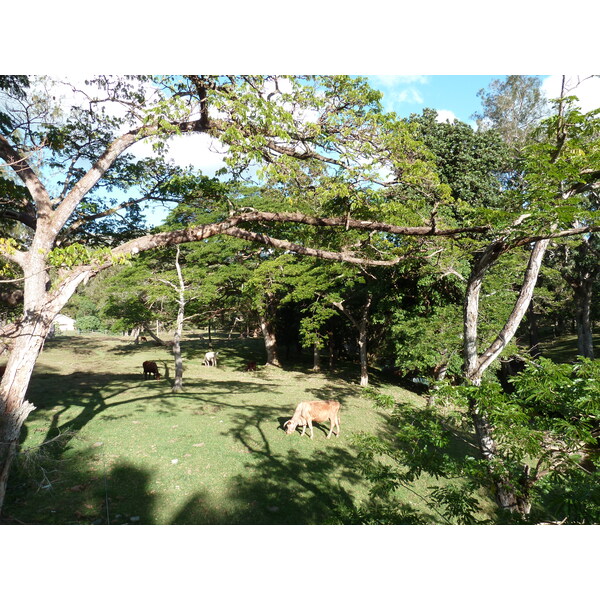 รูปถ่าย นิวแคลิโดเนีย(New Caledonia) ถนนจากกานาลาไปลาฟัว(Canala to La Foa road) 2010-05 7