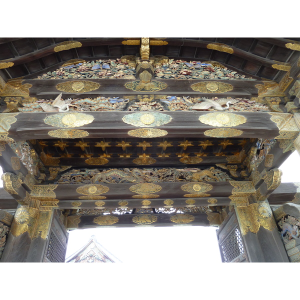 รูปถ่าย ญี่ปุ่น(Japan) เกียวโต(Kyoto) ปราสาทนิโจ(Nijo Castle) 2010-06 6