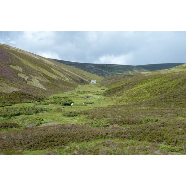 รูปถ่าย อังกฤษ(United Kingdom) อุทยานแห่งชาติแคร์นกอร์มส์(Cairngorms National Park) 2011-07 9