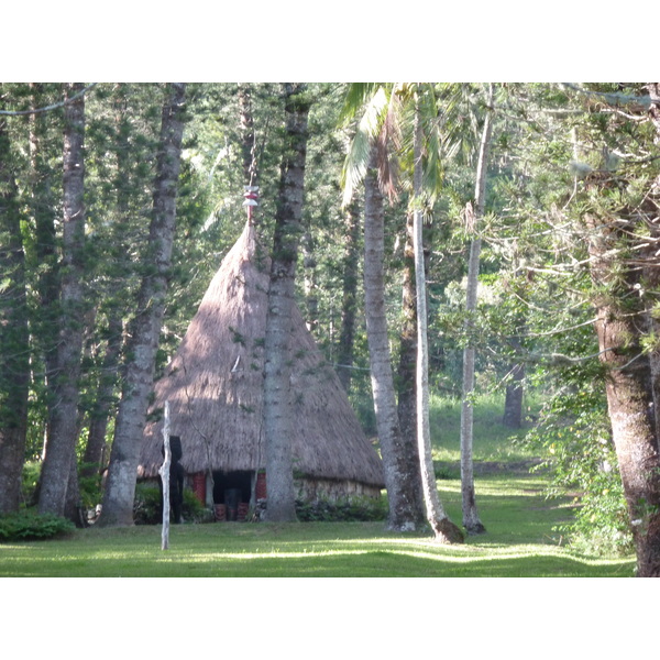 รูปถ่าย นิวแคลิโดเนีย(New Caledonia) ถนนจากกานาลาไปลาฟัว(Canala to La Foa road) 2010-05 52