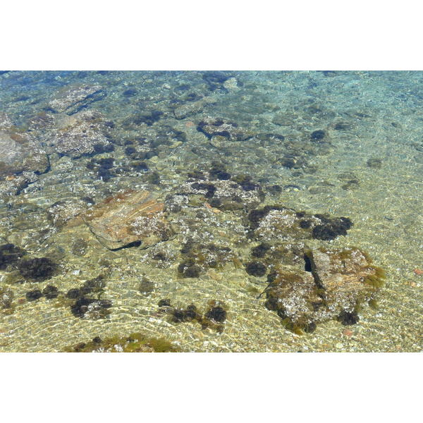 รูปถ่าย ฝรั่งเศส(France) เกาะปอร์เกอรอล(Porquerolles Island) แหลมเลอแก็ง(Pointe du Lequin) 2008-05 48