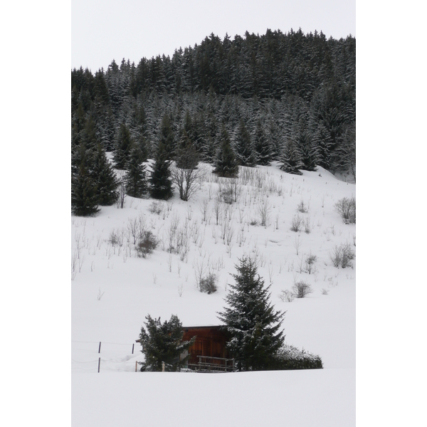 รูปถ่าย ฝรั่งเศส(France) เมแฌฟว์(Megeve) เลอปลาเน(Le Planay) 2010-02 48