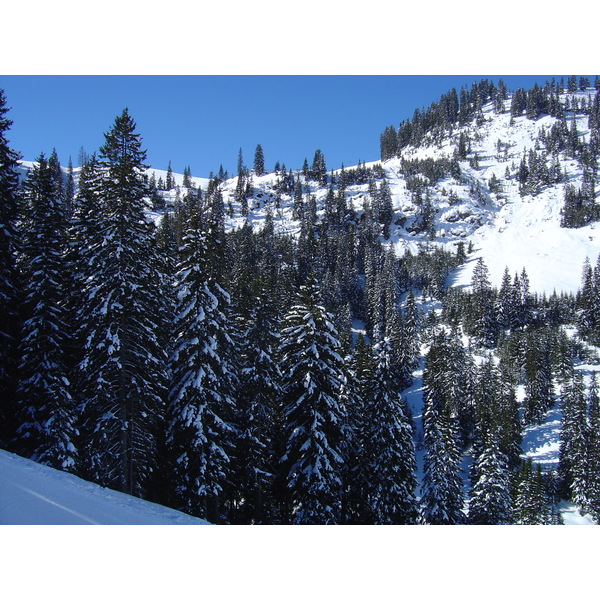 รูปถ่าย ออสเตรีย(Austria) คิทซ์บูเฮล(Kitzbuhel) สกี(Ski) 2005-03 70