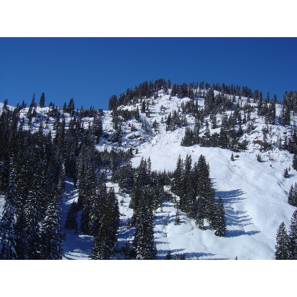 รูปถ่าย ออสเตรีย(Austria) คิทซ์บูเฮล(Kitzbuhel) สกี(Ski) 2005-03 53