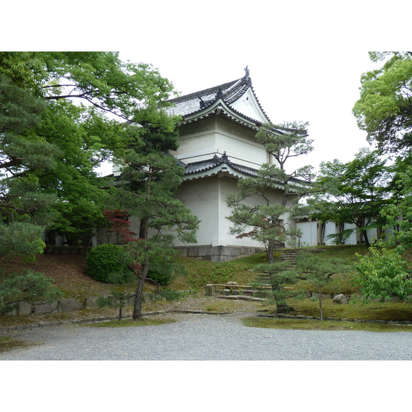 รูปถ่าย ญี่ปุ่น(Japan) เกียวโต(Kyoto) ปราสาทนิโจ(Nijo Castle) 2010-06 7