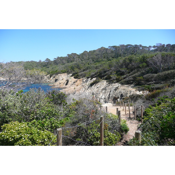 รูปถ่าย ฝรั่งเศส(France) เกาะปอร์เกอรอล(Porquerolles Island) แหลมเลอแก็ง(Pointe du Lequin) 2008-05 8