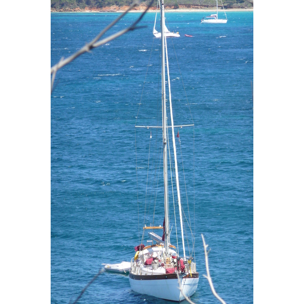 รูปถ่าย ฝรั่งเศส(France) เกาะปอร์เกอรอล(Porquerolles Island) แหลมเลอแก็ง(Pointe du Lequin) 2008-05 17