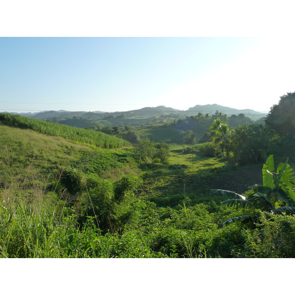 รูปถ่าย ฟิจิ(Fiji) ถนนจากนาดีไปซิงกาโตกา(Nadi to Sigatoka road) 2010-05 12