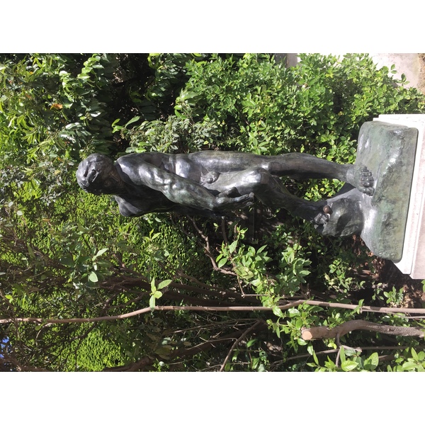 รูปถ่าย ฝรั่งเศส(France) ปารีส(Paris) พิพิธภัณฑ์โรแดง(Rodin Museum) 2017-06 80