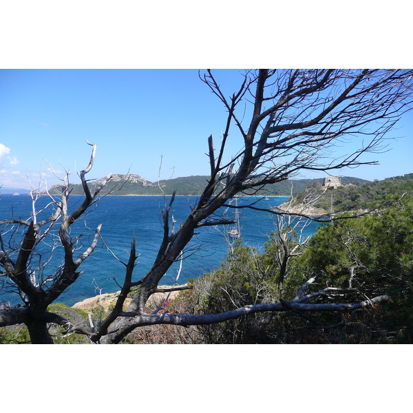 รูปถ่าย ฝรั่งเศส(France) เกาะปอร์เกอรอล(Porquerolles Island) แหลมเลอแก็ง(Pointe du Lequin) 2008-05 36