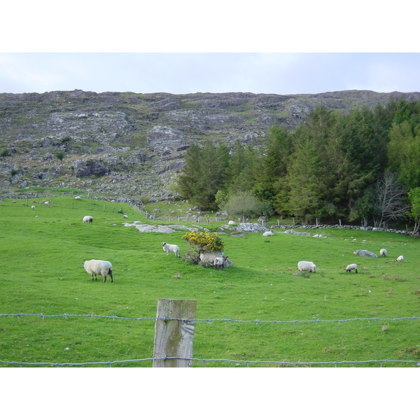 รูปถ่าย ไอร์แลนด์(Ireland) เคอร์รี่(Kerry) สวนสาธารณะคิลลาร์นีย์เนชั่นเนล(Killarney National Park) 2004-05 25