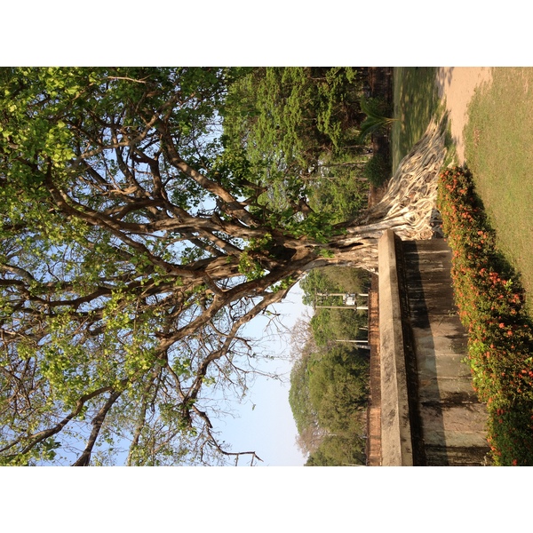 รูปถ่าย ไทย(Thailand) สุโขทัย(Sukhothai) 2014-02 37