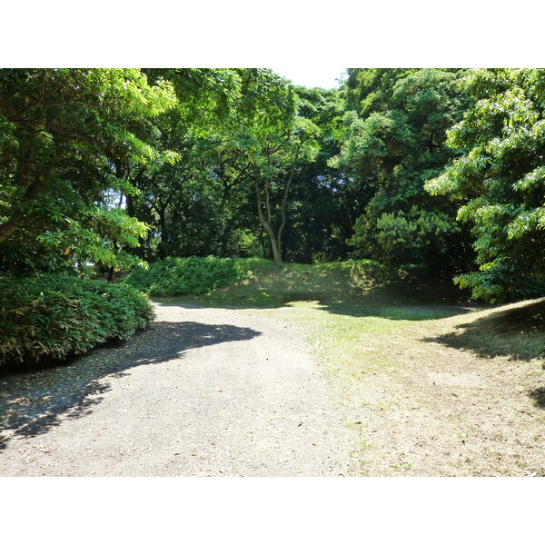 รูปถ่าย ญี่ปุ่น(Japan) โตเกียว(Tokyo) สวนฮามะริคิว(Hama rikyu Gardens) 2010-06 30