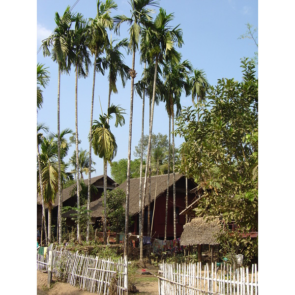รูปถ่าย พม่า(Myanmar) ถนนจากทวายไปหาดหม่องมะกัน(Road from Dawei to Maungmagan beach) 2005-01 56