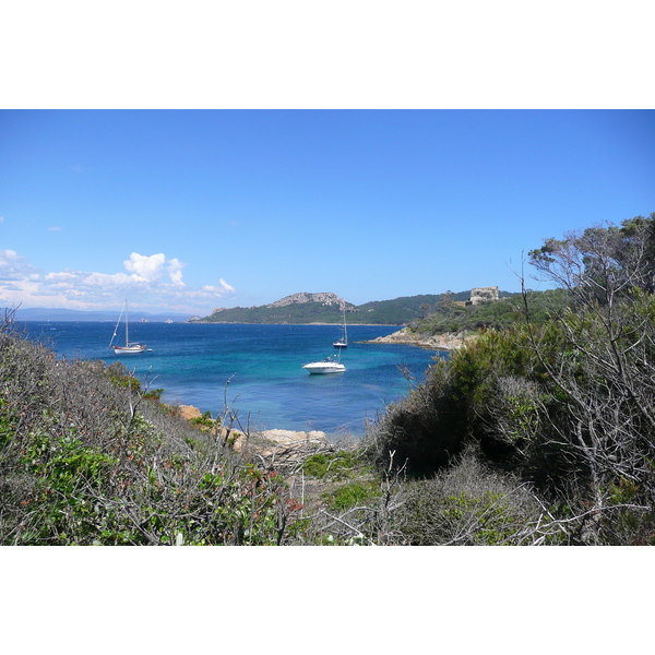 รูปถ่าย ฝรั่งเศส(France) เกาะปอร์เกอรอล(Porquerolles Island) แหลมเลอแก็ง(Pointe du Lequin) 2008-05 24