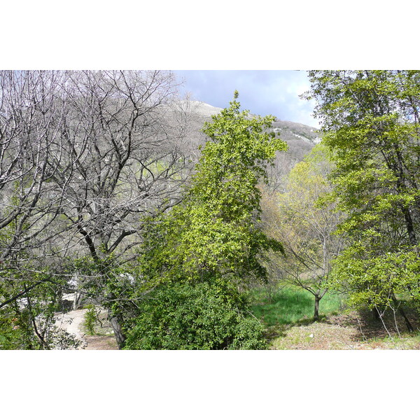 รูปถ่าย ฝรั่งเศส(France) วังซ์(Vence) โอเดอว็องส์(Hauts de Vence) 2008-03 69
