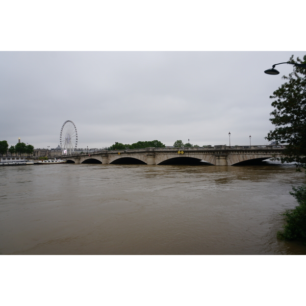 รูปถ่าย ฝรั่งเศส(France) ปารีส(Paris) แม่น้ำแซน(Seine river) 2016-06 74
