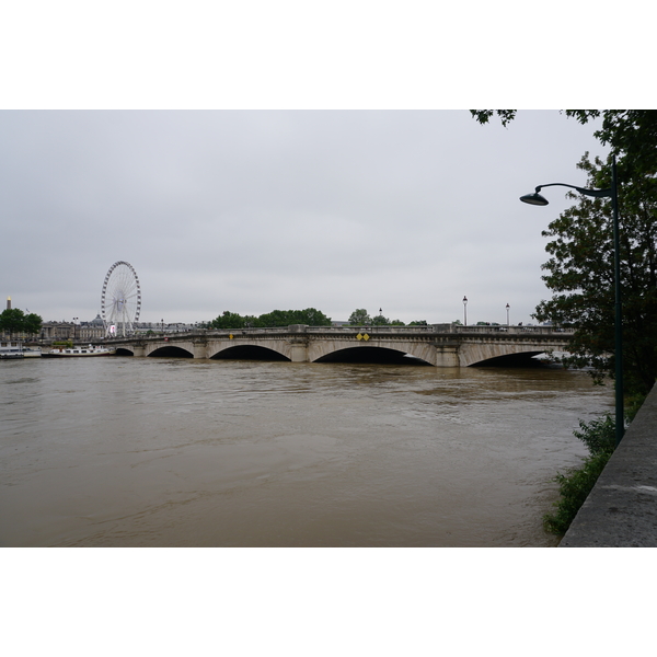 รูปถ่าย ฝรั่งเศส(France) ปารีส(Paris) แม่น้ำแซน(Seine river) 2016-06 69
