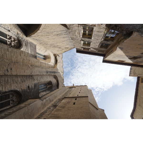 รูปถ่าย ฝรั่งเศส(France) อาวิกนีอง(Avignon) 2017-08 26