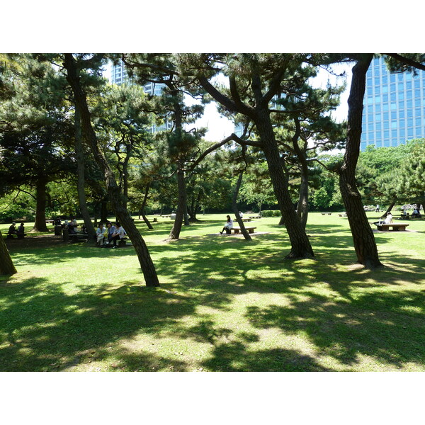 รูปถ่าย ญี่ปุ่น(Japan) โตเกียว(Tokyo) สวนฮามะริคิว(Hama rikyu Gardens) 2010-06 3