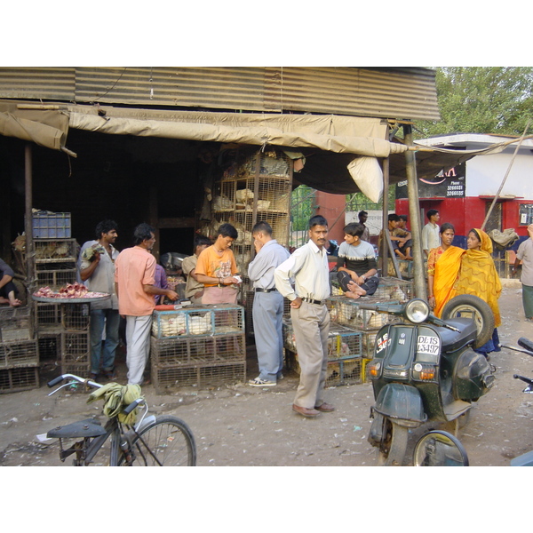รูปถ่าย อินเดีย(India) 2003-05 51