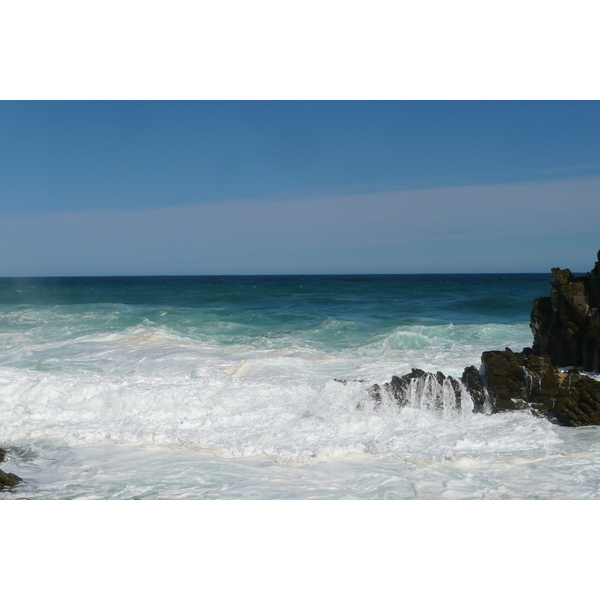 รูปถ่าย แอฟริกาใต้(South Africa) อุทยานแห่งชาติซิตซิคัมมา(Tsitsikamma National Park) 2008-09 325