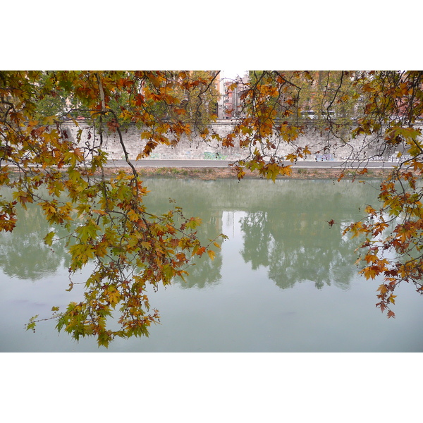 รูปถ่าย อิตาลี(Italy) โรม(Rome) ถนนริมน้ำจานีโกเลนเซ(Lungotevere Gianicolense) 2007-11 23