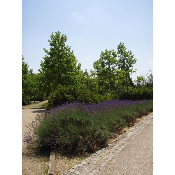 รูปถ่าย ฝรั่งเศส(France) วีลเนิฟ-ลา-การาน(Villeneuve La Garenne) สวนช็องเตอแรน(Parc des Chanteraines) 2007-07 71