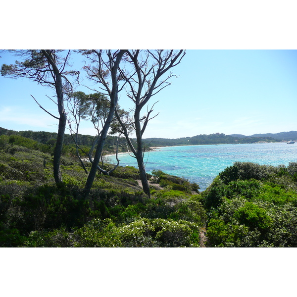 รูปถ่าย ฝรั่งเศส(France) เกาะปอร์เกอรอล(Porquerolles Island) แหลมเลอแก็ง(Pointe du Lequin) 2008-05 22
