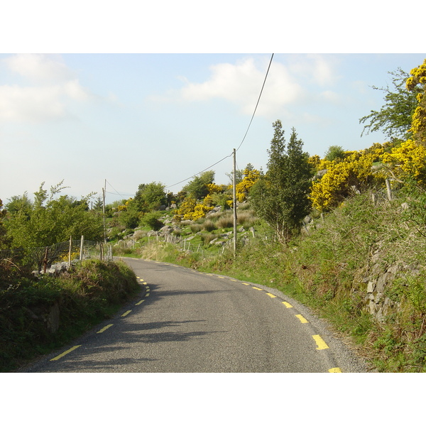 รูปถ่าย ไอร์แลนด์(Ireland) เคอร์รี่(Kerry) ทะเลสาบคารา(Caragh Lake) 2004-05 4