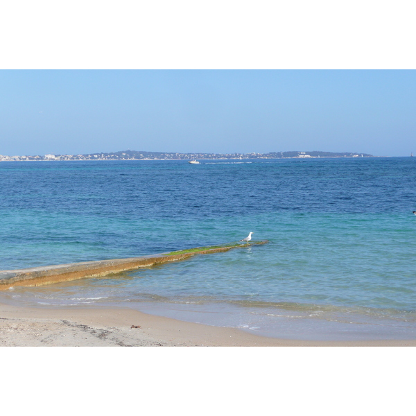 รูปถ่าย ฝรั่งเศส(France) คานส์(Cannes) หาดกาซาแญร์(Plage Gazagnaire) 2008-03 75