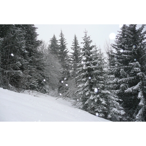 รูปถ่าย ฝรั่งเศส(France) เมแฌฟว์(Megeve) มงดาร์บัว(Mont d'Arbois) 2010-02 18