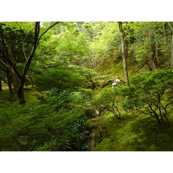 รูปถ่าย ญี่ปุ่น(Japan) เกียวโต(Kyoto) วัดกินกะกุจิ (ศาลาเงิน)(Ginkakuji Temple(Silver Pavilion)) 2010-06 79