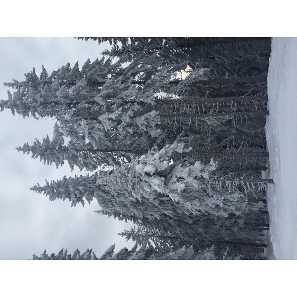 รูปถ่าย ฝรั่งเศส(France) เมแฌฟว์(Megeve) 2016-02 96