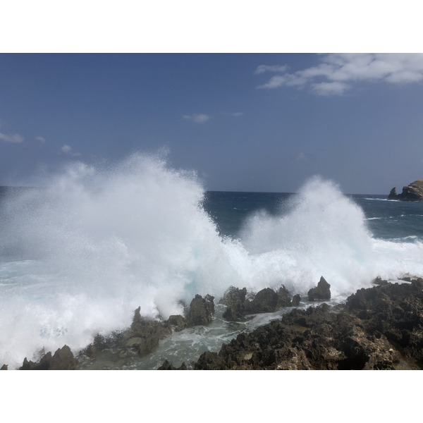 รูปถ่าย กวาเดอลูป(Guadeloupe) แหลมคาสเซิลพอยต์(Castle Point) 2021-02 317