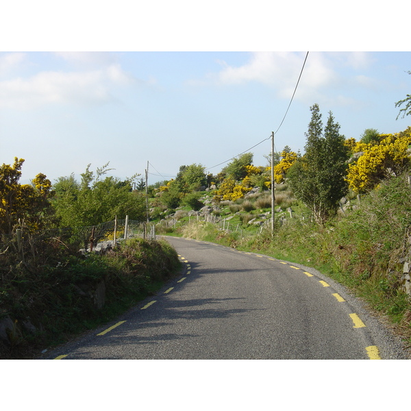 รูปถ่าย ไอร์แลนด์(Ireland) เคอร์รี่(Kerry) ทะเลสาบคารา(Caragh Lake) 2004-05 46