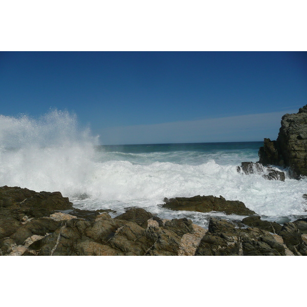 รูปถ่าย แอฟริกาใต้(South Africa) อุทยานแห่งชาติซิตซิคัมมา(Tsitsikamma National Park) 2008-09 286
