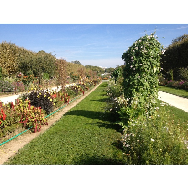 รูปถ่าย ฝรั่งเศส(France) ปารีส(Paris) สวนพันธ์ุพืช(Jardin des Plantes) 2014-09 17